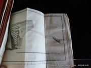 Le Spectacle de la Nature ou Entretiens sur les Particularités de l'Histoire Naturelle Qui ont paru les plus propres à rendre les Jeunes-Gens curieux, & à leur former l'esprit. Tome sixième, contenant ce qui regarde l'Homme en Société par Pluche - Image 5