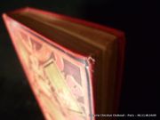 Aventures d'un gamin de Paris au pays des Lions. Illustré de dessins de H. Castelli, gravées par A. Lemoine par Boussenard Louis. - Image 4