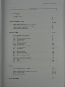 Je suis l'homme de 5000 paroles et de 10 000 formes. Ecrits de Raoul Hausmann et documents annexes répertoriés. Inventaire Raisonné. Par Adelheid Koch-Didier avec la collaboration de Stefan Schwar dans le cadre d'un projet de recherche du Fonds Autrichi