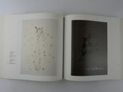 Lucio Fontana par Bernard Blistène - Image 5