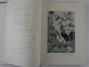 Image de livre