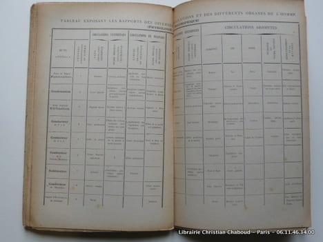 Essai de physiologie synthétique. Complément de tous les Traités analytiques de Physiologie. Avec 35 schémas inédits. Suivi de la Classification ...