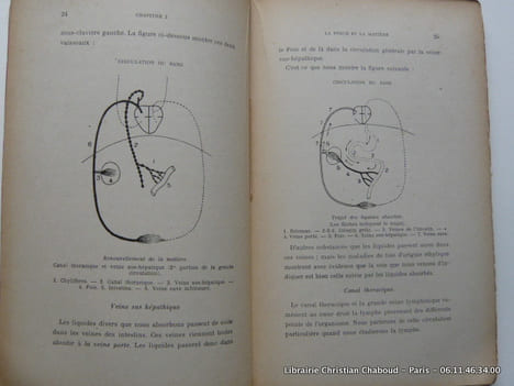 Essai de physiologie synthétique. Complément de tous les Traités analytiques de Physiologie. Avec 35 schémas inédits. Suivi de la Classification ...