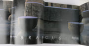 Brancusi par Radu Varia - Image 2