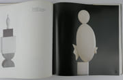 Brancusi par Radu Varia - Image 8