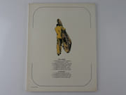 L'Homme de Harlem (Un Homme, une aventure) par Guido Crepax - Image 2