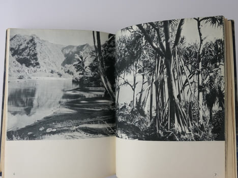 Tahiti et sa Couronne. 1 - Tahiti, Moorea, les Polynésiens 2- Marquises, Sous-le-Vent Australes, Tuamotu.En 2 vols.. T'SERSTEVENS, A.