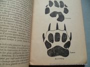 Image de livre