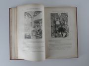 Le Docteur Ox. Illustré. par Jules Verne - Image 4