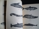 La structure et la biologie des poissons. Avec 60 planches en héliogravure.. L. Roule