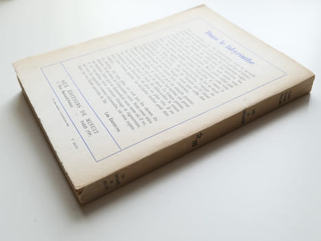 Dans le labyrinthe.. Alain Robbe-Grillet.