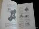 La vie et les moeurs des animaux. Zoophytes et mollusques . Figuier Louis