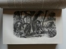 Les mammifères.  Ouvrage illustré de 335 vignettes dessinées pour la plupart d'après l'animal vivant par Bocourt, Lalaisse, Mesnel, de Penne, de ...