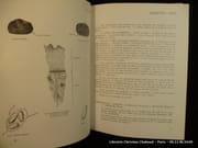 La truffe. 2e éd. par Jean Pagnol. Préface de Sylvain Floirat.  - Image 2