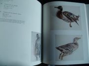 Grandville Dessins Originaux - Catalogue Exposition Musée des Beaux-Arts, Nancy - 17 Novembre 1986 - 2 Mars 1987 par Grandville - Image 5