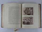 Les spectacles à travers les âges. En 2 volumes :  Musique. Danse. ET Théâtre, Cirque, Music-Hall, Cafés, Concerts, Cabarets artistiques. Preface de Deny Amiel. par Prod'homme J.-G.,George André,Boll André,Lyonnet Henry,Berton Claude,Camp Jean,Divoire Fernand,Hugard Jane,Maudru Pierre,Paul-Sentenac,Rouquet Auguste. ASTRE, BOLL, IBELS, LEGRAND Chabrier, LYONNET, MAUDRU, ROUQUET, SIDIS, Valmy-Baysse. - Image 10