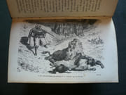 La chasse au lion. Ornée de gravures par Gustave Dorée et d' un portrait de Jules Gérard. par Gérard Jules. Doré Gustave - Image 6