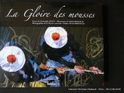 La Gloire des mousses. Tirage de tête comprenant une lithographie originale signée de Michel Bellion, peintre de la marine.  signée. 45/150 par Christophe Penot. Illustrations de Michel Bellion. Photographies de la marine nationale. Préface d'Erik Orsenna - Image 1