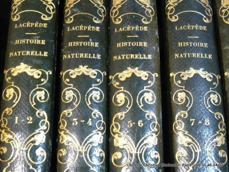 Histoire Naturelle des quadrupèdes ovipares, serpens, poissons et cétacés, par M. le comte de Lacépède pour faire suite aux oeuvres de Buffon. En 20 ...