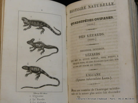 Histoire Naturelle des quadrupèdes ovipares, serpens, poissons et cétacés, par M. le comte de Lacépède pour faire suite aux oeuvres de Buffon. En 20 ...