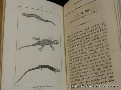 Histoire Naturelle des quadrupèdes ovipares, serpens, poissons et cétacés, par M. le comte de Lacépède pour faire suite aux oeuvres de Buffon. En 20 ...