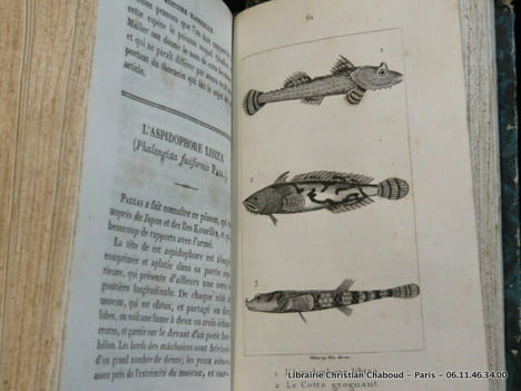 Histoire Naturelle des quadrupèdes ovipares, serpens, poissons et cétacés, par M. le comte de Lacépède pour faire suite aux oeuvres de Buffon. En 20 ...