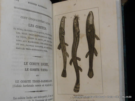 Histoire Naturelle des quadrupèdes ovipares, serpens, poissons et cétacés, par M. le comte de Lacépède pour faire suite aux oeuvres de Buffon. En 20 ...