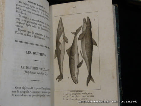 Histoire Naturelle des quadrupèdes ovipares, serpens, poissons et cétacés, par M. le comte de Lacépède pour faire suite aux oeuvres de Buffon. En 20 ...