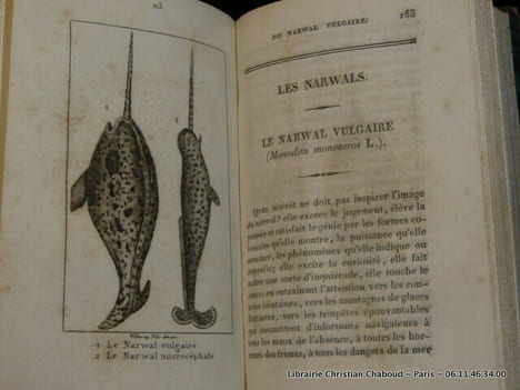 Histoire Naturelle des quadrupèdes ovipares, serpens, poissons et cétacés, par M. le comte de Lacépède pour faire suite aux oeuvres de Buffon. En 20 ...