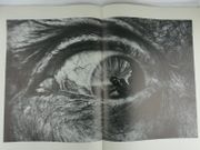 Image de livre