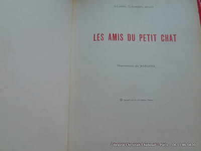 Les amis du petit chat