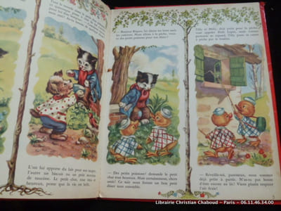 Les amis du petit chat