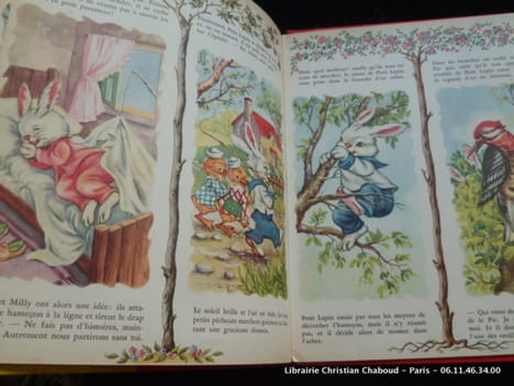 Les amis du petit chat. Jolanda Colombini Monti. Illustrations de Mariapia