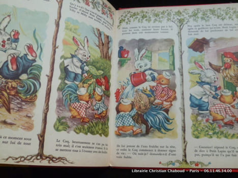 Les amis du petit chat. Jolanda Colombini Monti. Illustrations de Mariapia