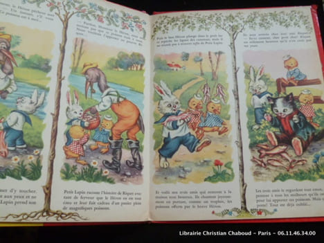 Les amis du petit chat. Jolanda Colombini Monti. Illustrations de Mariapia
