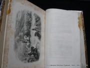 Napoléon en Egypte. Waterloo et le fils de l'homme par Barthélémy et Méry. Précédé d'une notice littéraire par M. Tissot - Image 8