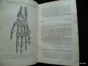 Nouveau traité élémentaire d'anatomie descriptive et de préparations anatomiques. Suivi d'un précis d'embryologie par le Docteur A. Verneuil. . Avec 146 figures intercalées dans le texte. par A. Jamain - Image 4