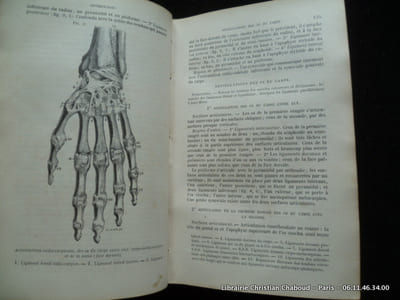 Nouveau traité élémentaire d'anatomie descriptive et de préparations anatomiques. Suivi d'un précis d'embryologie par le Docteur A. Verneuil. . Avec 146 figures intercalées dans le texte.