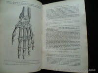 Nouveau traité élémentaire d'anatomie descriptive et de préparations anatomiques. Suivi d'un précis d'embryologie par le Docteur A. Verneuil. . Avec 146 figures intercalées dans le texte.