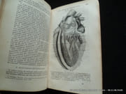 Nouveau traité élémentaire d'anatomie descriptive et de préparations anatomiques. Suivi d'un précis d'embryologie par le Docteur A. Verneuil. . Avec 146 figures intercalées dans le texte. par A. Jamain - Image 5