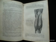 Nouveau traité élémentaire d'anatomie descriptive et de préparations anatomiques. Suivi d'un précis d'embryologie par le Docteur A. Verneuil. . Avec 146 figures intercalées dans le texte. par A. Jamain - Image 6
