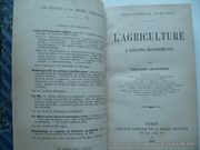 L'agriculture à grands rendements par Edouard Lecouteux - Image 2