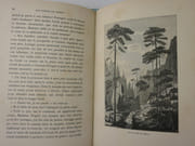 Souvenirs de Corse par BEAULIEU-DELBET Mme J.  - Image 3