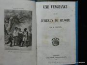 Une vengeance ou les jumeaux du manoir par RUMFORT - Image 4