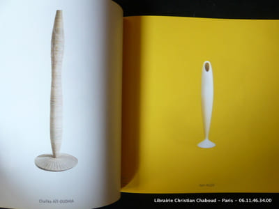 Design algérien : nouvelle génération. Catalogue de l'exposition VIA à Paris, 9 janvier - 23 février 2003