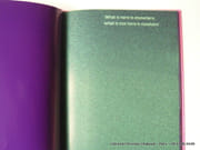 What is here is elsewhere, what is not here is nowhere par Fransje Killaars. Foreword by Lex ter Braak. - Image 2