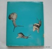 That remarkable creature, the snail. Oscar Schisgall. Photographs by Alvin E. Staffan
