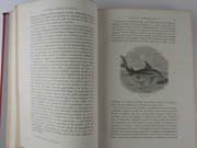 Le Tour du Monde en Famille. Voyage de la Famille Brassay dans son Yatch Le Sunbeam. Raconté par la Mère. Illustré de 78 gravures sur bois. par Lady Brassey - Image 4