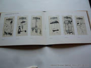 David Blamey  Know Became Tell. par BLAMEY David - Image 4