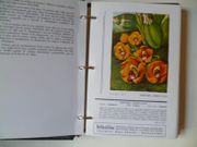 Image de livre